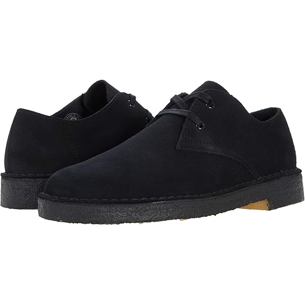 靴 clarks Desert TrekGTX uk7 Clarks_DESERTTREK_01b_173A0409