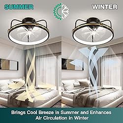 ZOGOOR 19.6'' Ceiling Fans with Lights