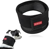 BUVUB Adjustable Dog Neck Brace for Neck Pain &amp; Injury Relief - Soft &amp; Comfortable Support Collar for Dogs for Recovery After Surgery or Injury(Medium)