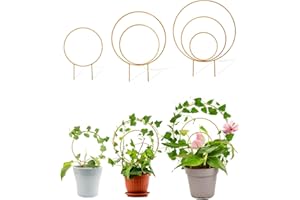 SOUSAC Unique Round Hoya Trellis, 3 Pcs Different Small Houseplant Trellis for Indoor Climbing Plant, Garden Trellis Plant Support for Potted Ivy and Flowers Outdoor(Gold)