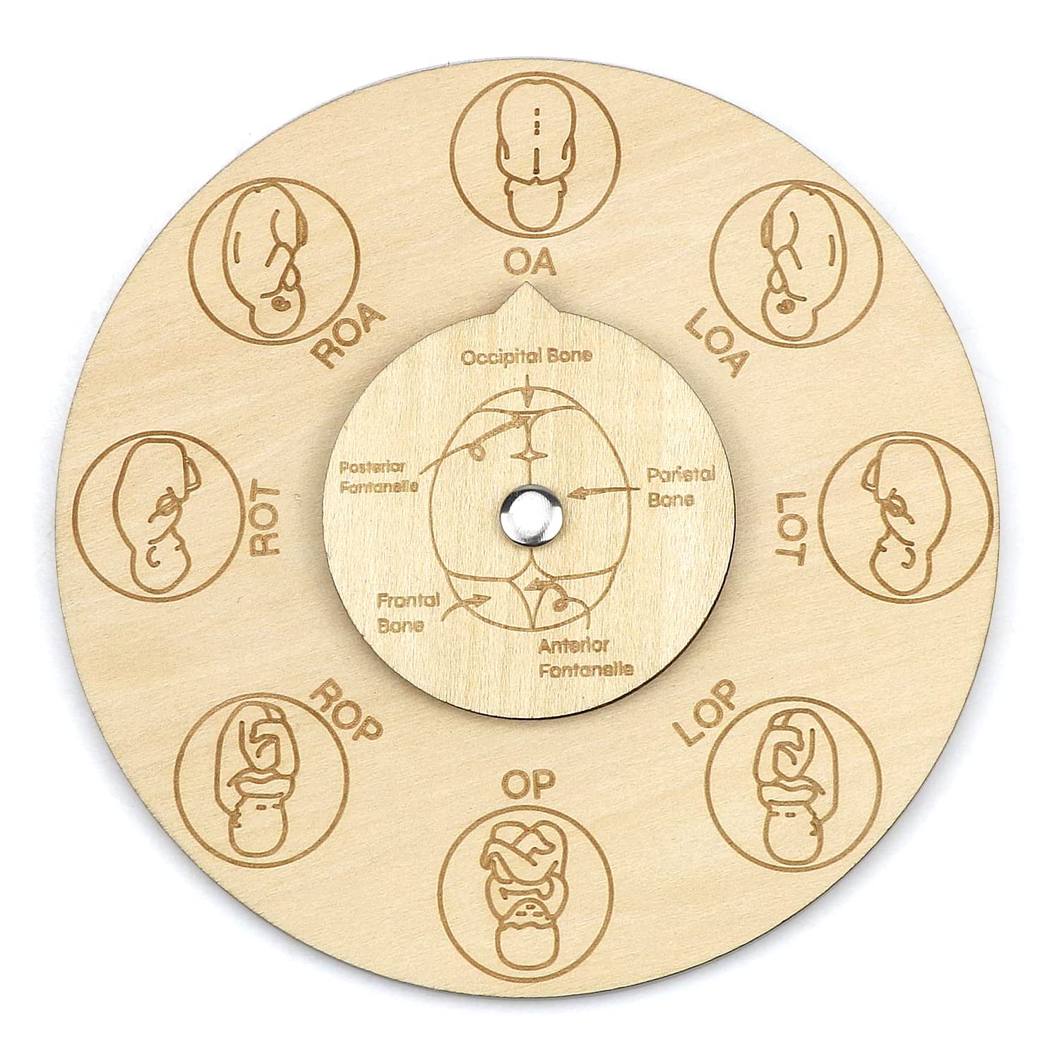 free-space Midwife fetal position tool, carved wooden fetal position wheel for student midwife doctor doula (Brown)