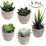Assorted Decorative Faux Succulent Artificial Succulent Cactus Fake Cacti Plants with Gray Pots, Set of 5