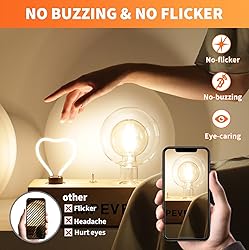 ALAMPEVER Large Globe LED Light Bulbs, Decorative