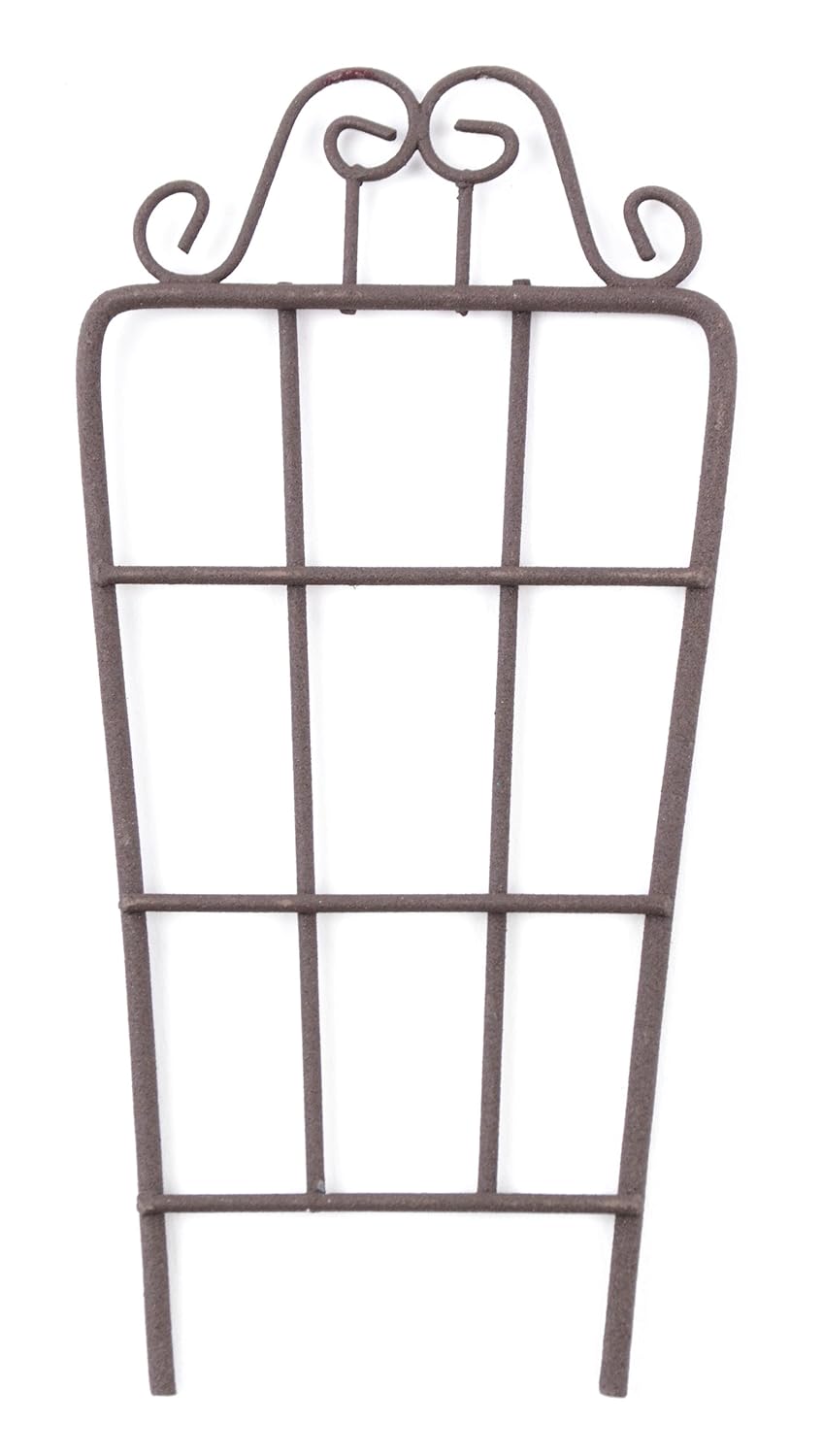 Best miniature vines for fairy garden