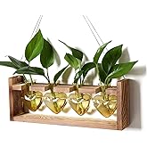 Plant Propagation Stations Heart Plant Terrarium Kit Gift for Women Plant Lover Glass Vases