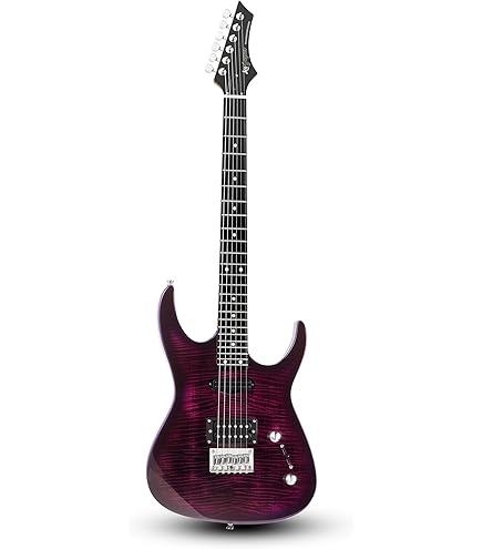 Amazon.com: Leo Jaymz Electric Guitar Monsoon Series,Reverse
