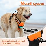 rabbitgoo Dog Harness Medium No Pull with 2 Leash Clips Reflective Orange M view 6