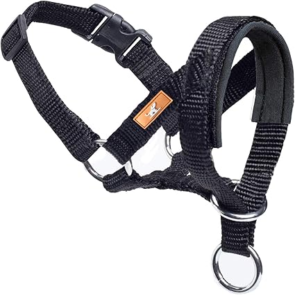 head collar petsmart