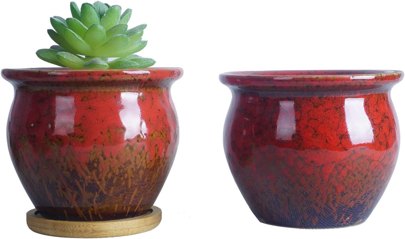ARTKETTY Succulent Plant Pots, Small Cactus Plant Pots - Image 5