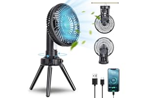 RUNTOP Portable Battery Operated Fan with LED Lantern, 270° Auto Oscillating Fan, 8 Inch Outdoor Rechargeable Camping Fan, Foldable Tripod Desk Fan with Hanging Hook for Tents, Travel, Bedroom, Office
