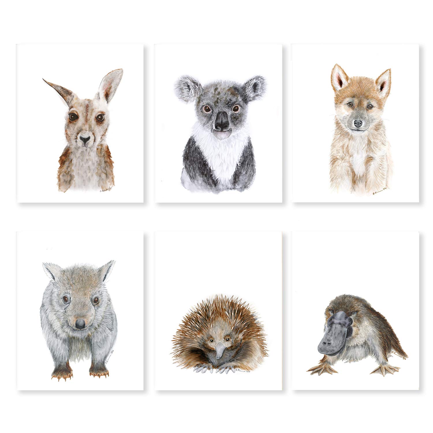 australian animal prints nursery