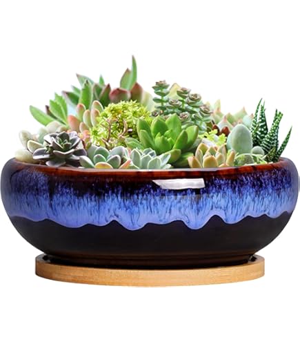Amazon.com: KT984358 Japanese Black No. 8 Pot, IH Compatible