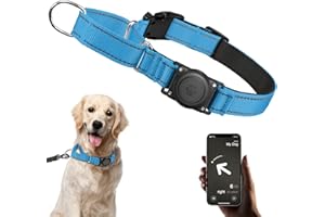 FURRIGO AirTag Dog Collar - Martingale Collar for Dogs, Reflective, Heavy Duty, Comfortable Padded, Adjustable Martingale Air Tag Dog Collars Fit Medium Large Dogs (Blue, L)