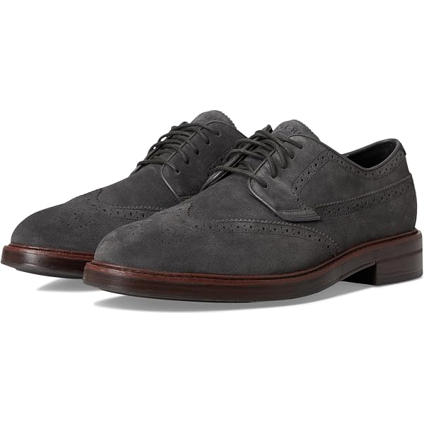 Amazon.com | Cole Haan Men display picture 1