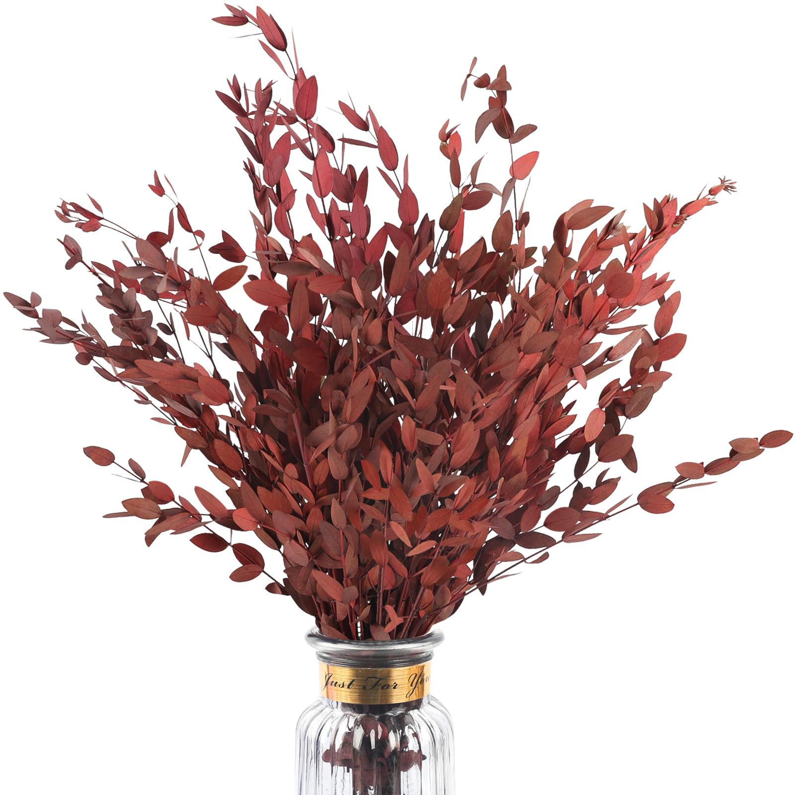 Photo 1 of HIAGROW Real Red Eucalyptus Stems Decor 20PCS 17" Dried Willow Eucalyptus Plant Preserved Stems for Home Vase Filler Wedding Flowers Fall Arrangement Decorations