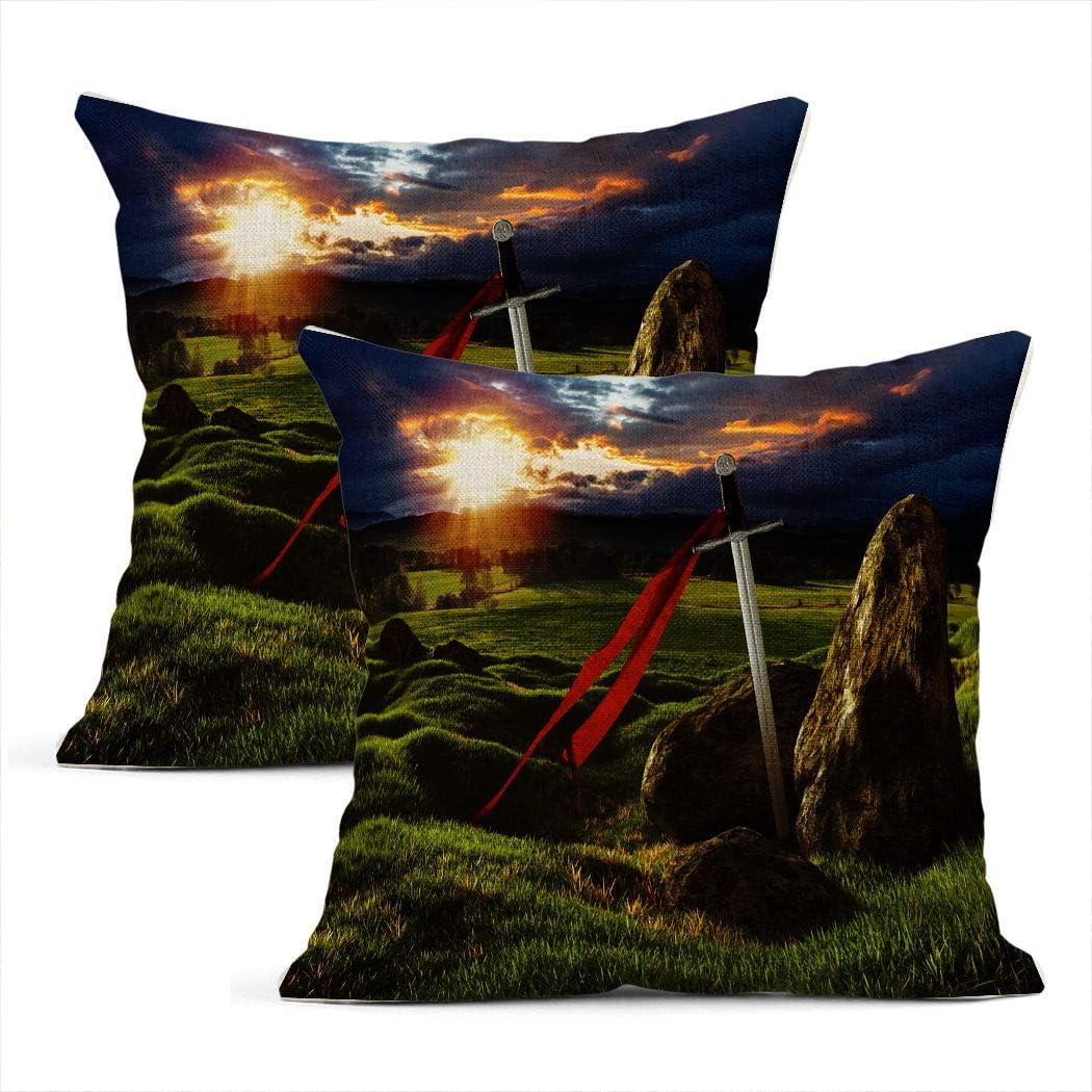 Heyqqo Set of 2 Cushion Covers Linen Sword Meadow Stones Under Dramatic Real Drawing Interesting Pop Art Pillowcases Square Soft Home Decor Design Throw Pillow Cases Sofa Bedroom 20x20 Inch