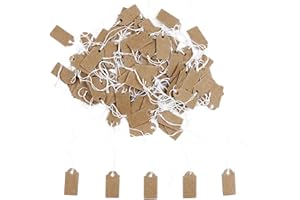 Sowaka 100 Pcs Display Tags with Hanging String Mini Writable Blank Label Display Tags for Jewelry Store Price Marking Ornament Pricing Product Clothing Hanging Tags (Small, Kraft)