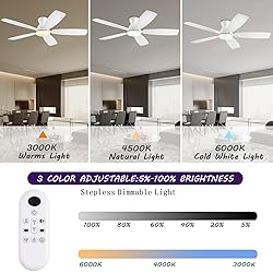 NKPU 52inch Ceiling Fans with Lights, Low Profile