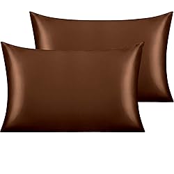 NTBAY 2 Pack Satin Queen Pillowcases for Hair and
