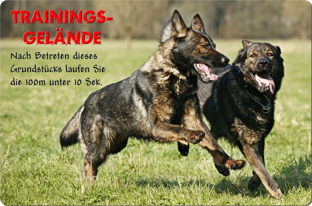 Warnschild 'Deutscher Schäferhund' – Aluminiumschild 30,5 X 20 Cm Für Garten Oder Haus