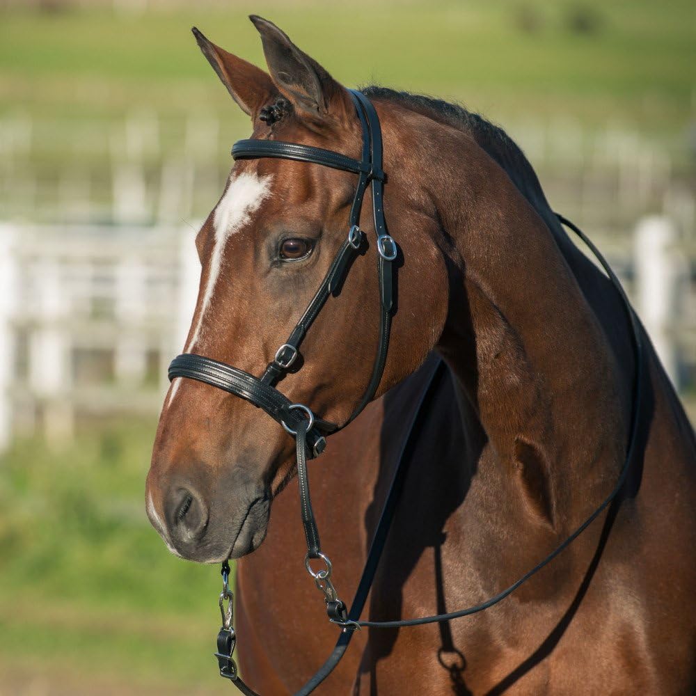 Horze Ravenna Bitless Bridle - Size:Full Color:Black