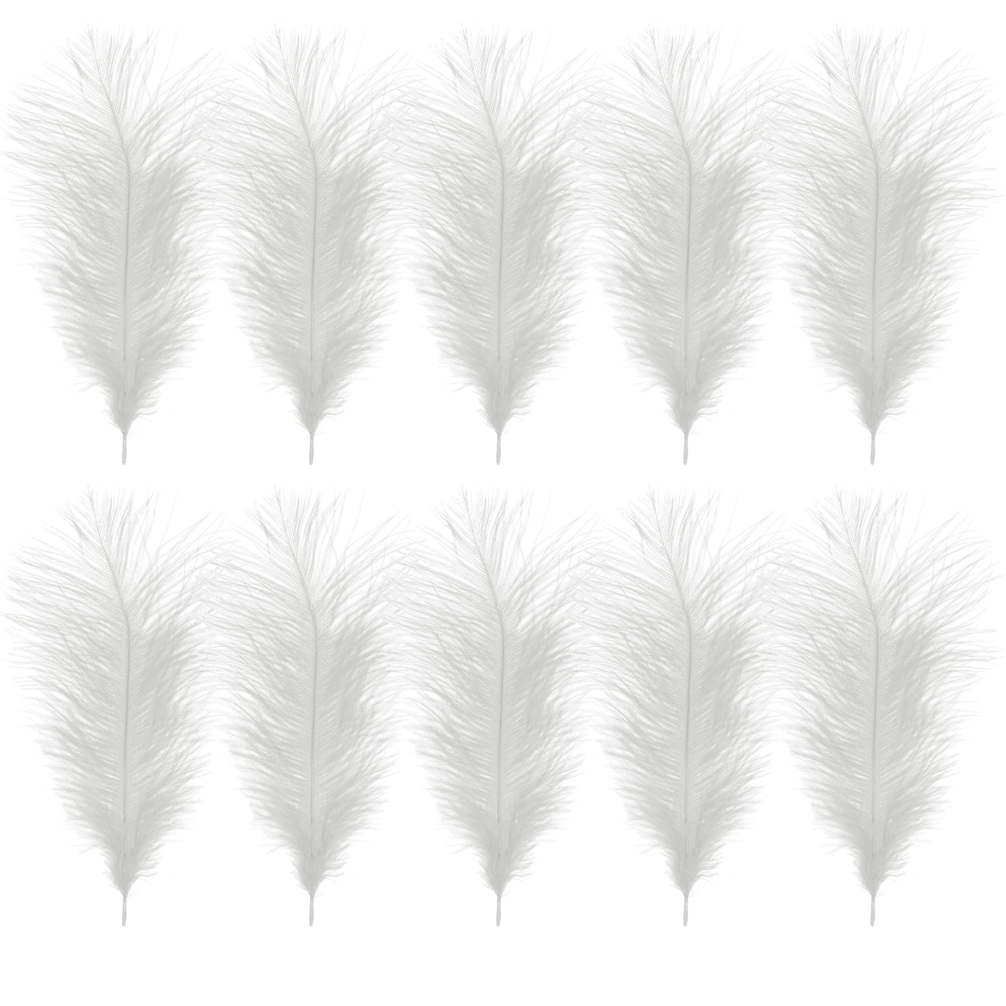 WedDecor White Natural Ostrich Feathers 14-16" (35-40cm) Long for Wedding Centerpieces, Home, Decorating Costumes, Embellishment, Art & Craft, Parties (Pack of 10)