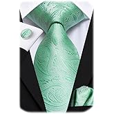 Hi-Tie Silk Paisley Ties for Men Necktie Pocket Square Cufflinks Set Foral Tie Sets Formal Business