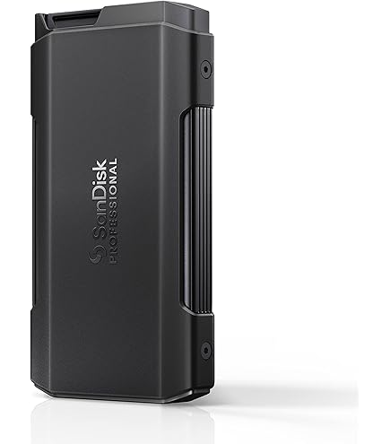 SanDisk Professional SSD Pro Blade Mag de 4 TB - SSD NVMe portátil
