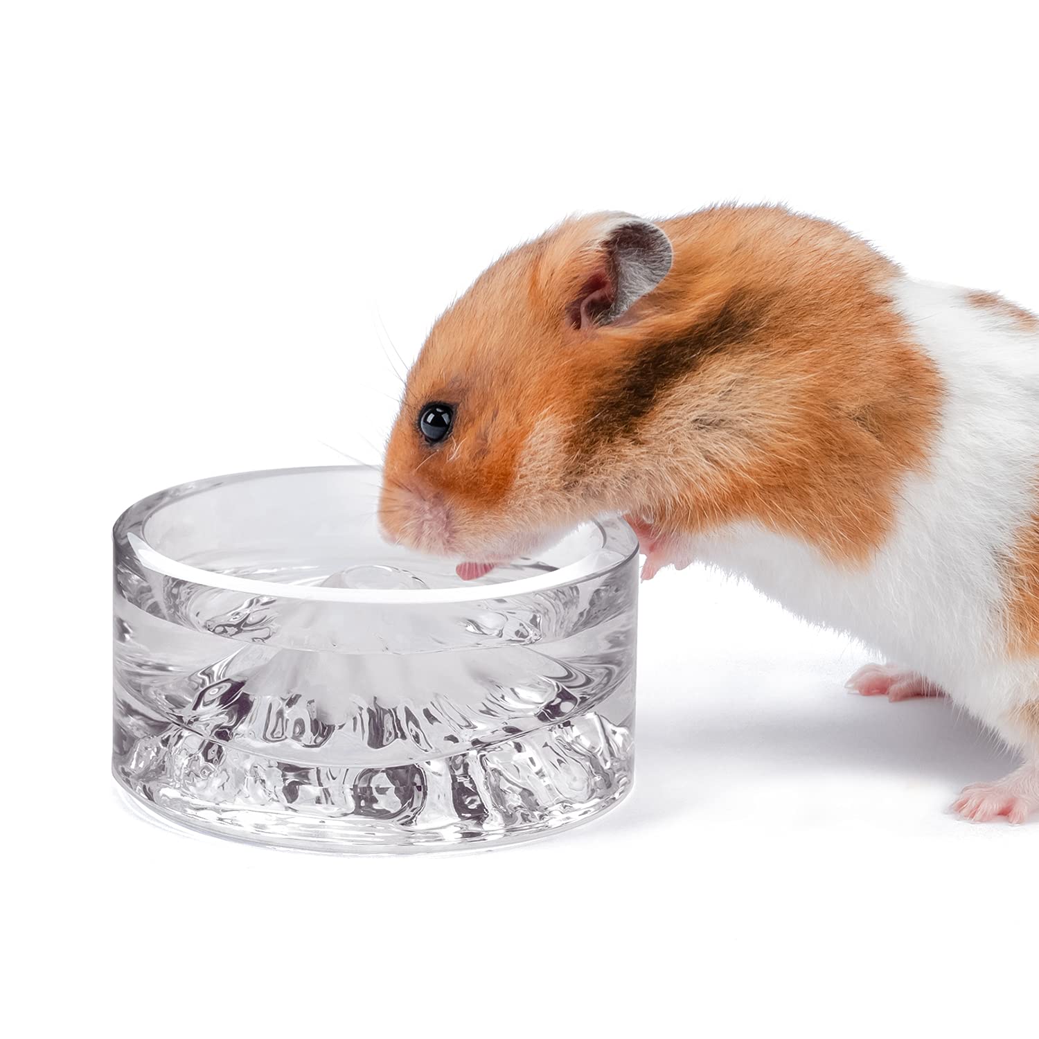 Photo 1 of Niteangel Hamster Feeding & Water Bowls- Mount Fuji Series Glass Drinking Bowls for Dwarf Syrian Hamsters Gerbils Mice Rats or Other Similar-Sized Small Pets
