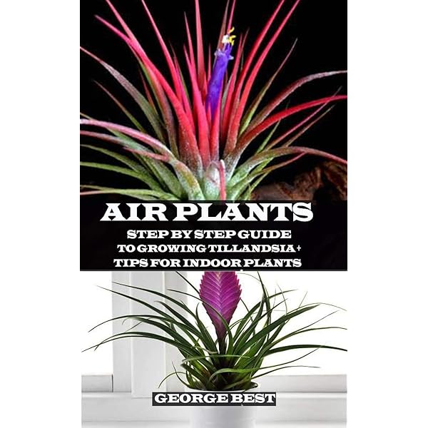 Tillandsia II: The World's Most Unusual Airplants: Isley, Paul T