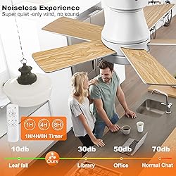 Ceiling Fans with Lights, 30 inch Low Profile