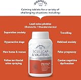 DORWEST HERBS Scullcap & Valerian Calming Tablets for Dogs & Cats 500 view 6