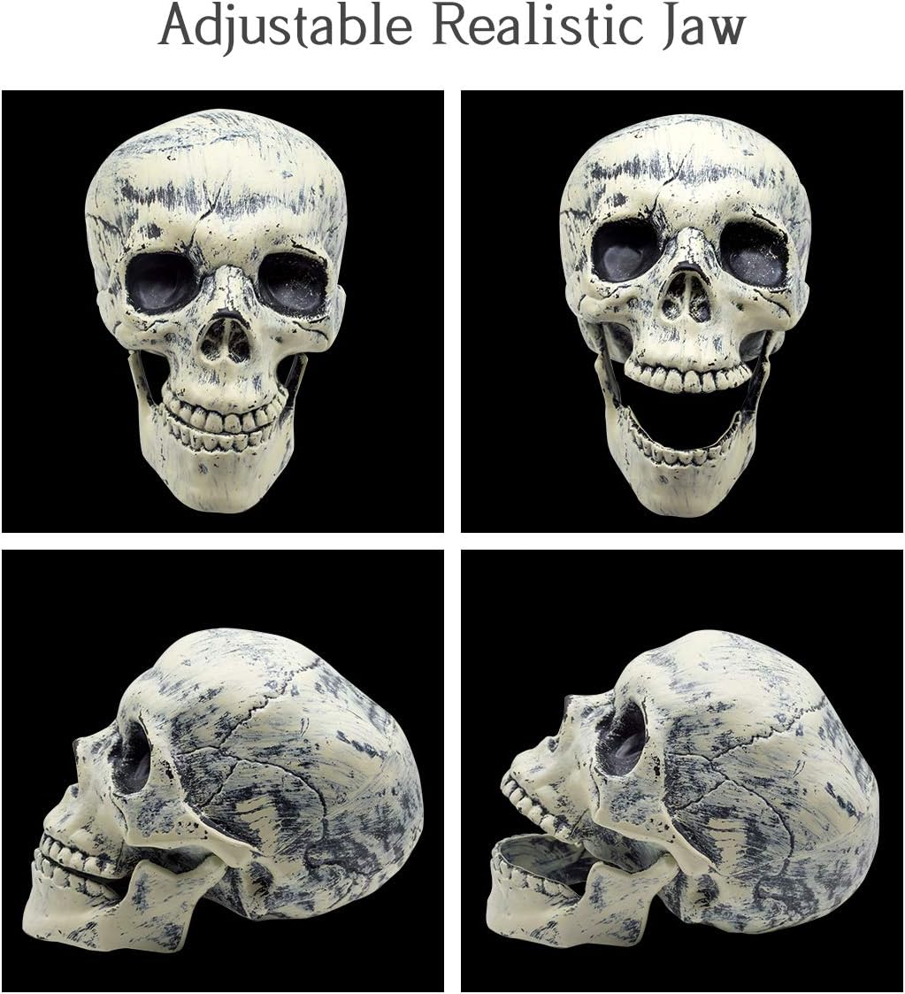HOMILY Plastic Skeleton Arms with Stakes and Skull for Halloween Decorations Outdoor: Garden & Outdoor