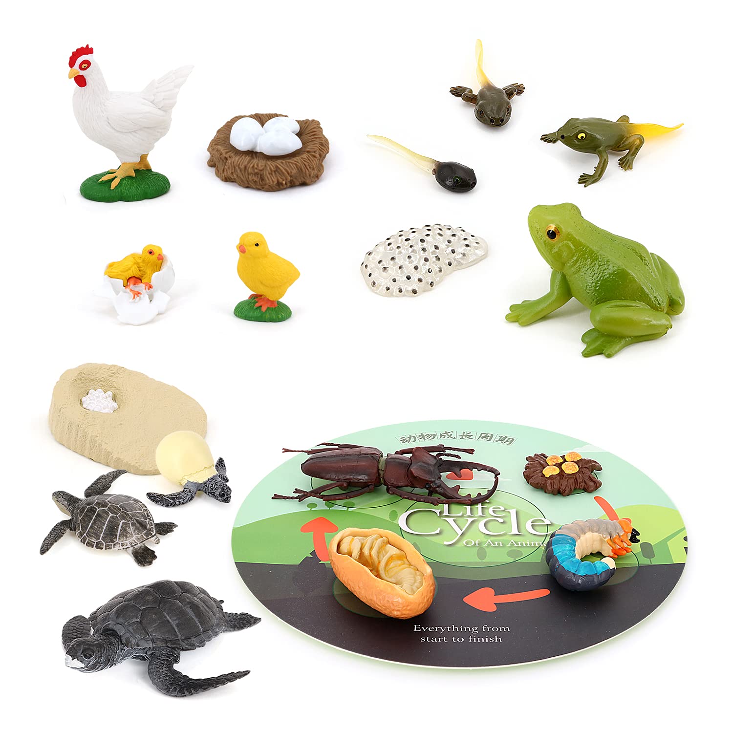 Volnau Animal Figurines Toys 17PCS Life Cycle Figure Set for Toddlers Kids Sea Turtle Frog Chicken Decorations Preschool Educational Prop โ image 1