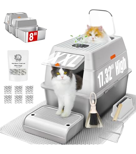 Arena Mi Gato Se Mea Al Lado Del Arenero Arena Para Gato Caja De S De