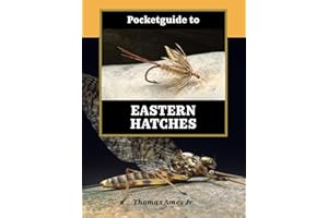 Pocketguide to Eastern Hatches