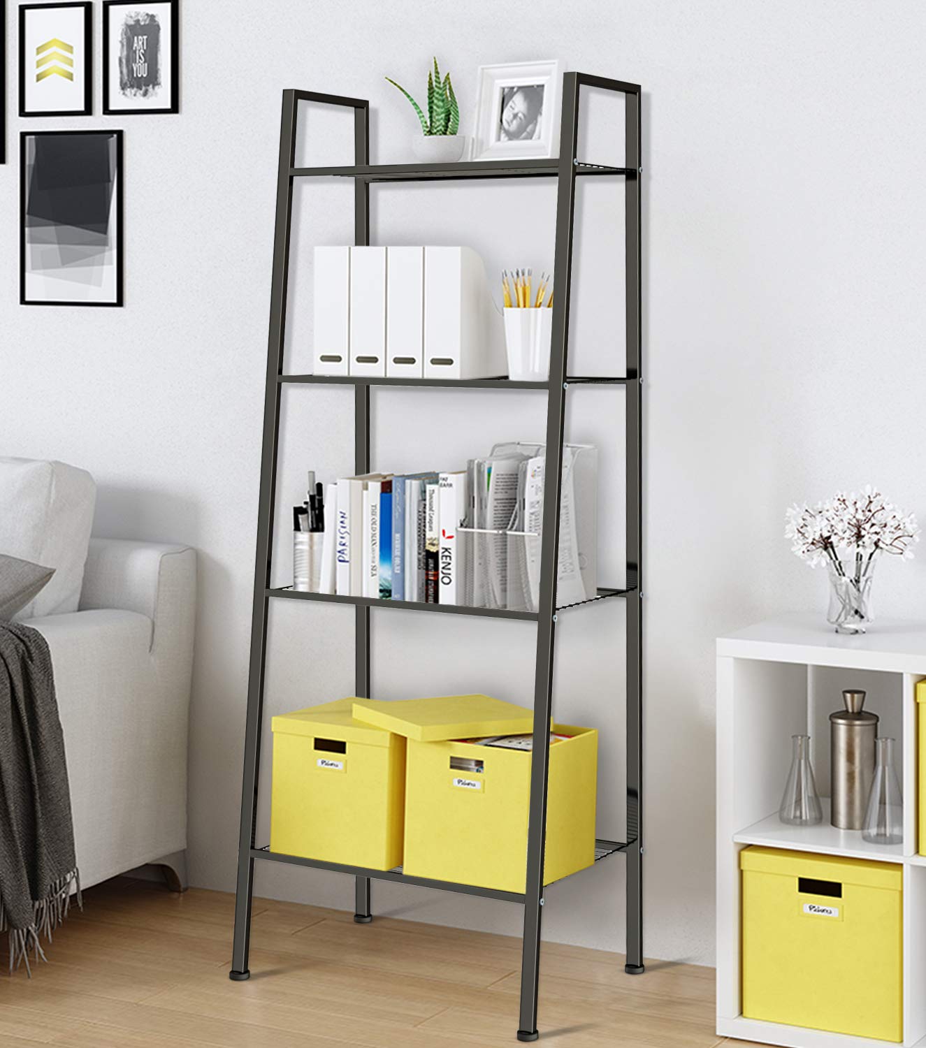 https://images-na.ssl-images-amazon.com/images/I/71n3YcPTkjL.jpg