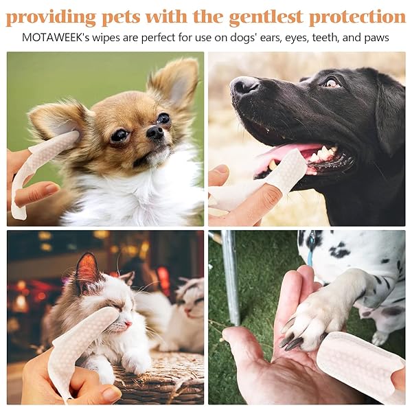 MOTAWEEK DOG EAR WIPES FINGER – PORTABLE AND CONVENIENT 50-PACK FOR GENTLE CLEANING & INFECTION TREATMENT OF DOGS’ & CATS’ EARS, EYES, AND PETS, FRESH AND COMFORTABLE EXPERIENCE