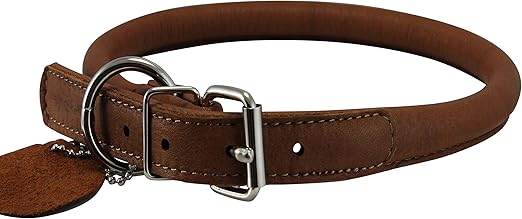 leather dog collars amazon