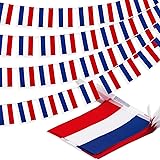 Netherlands Dutch String Flag Pennant Banner, Small