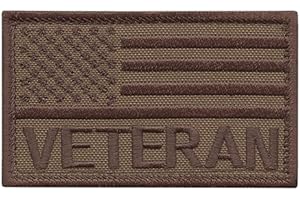 LEGEEON Tan USA American Flag Veteran Vet Coyote 2x3.25 Morale Tactical Hook Patch