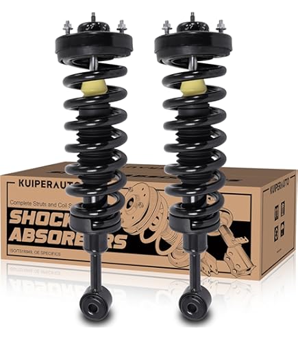 【suddenly】 Amazon.com: FCS 1336331 Complete Strut Assembly, Black