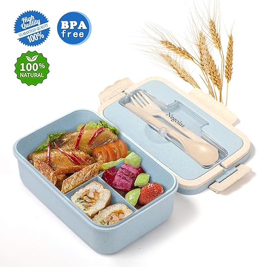 adult lunch containers