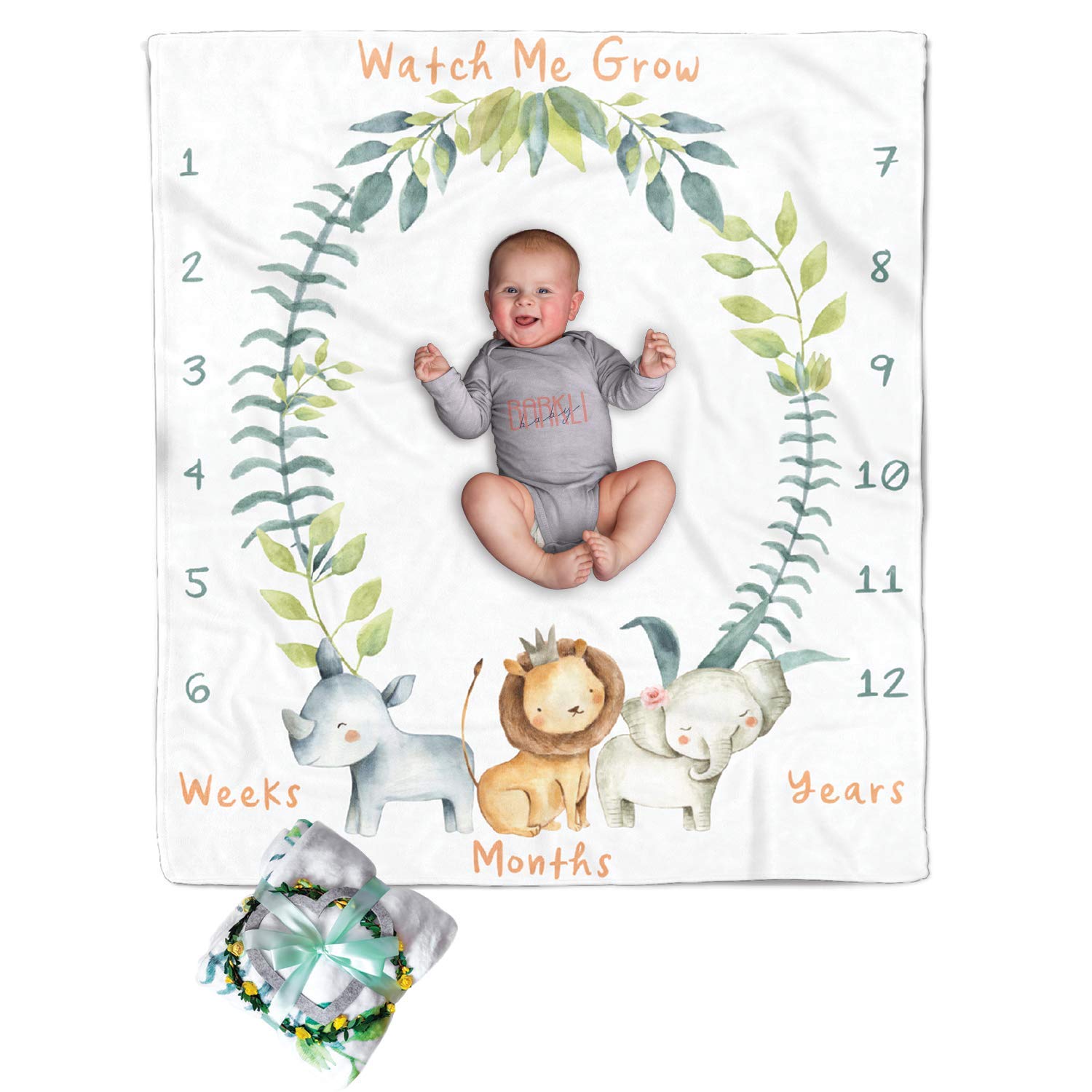 baby calendar blanket