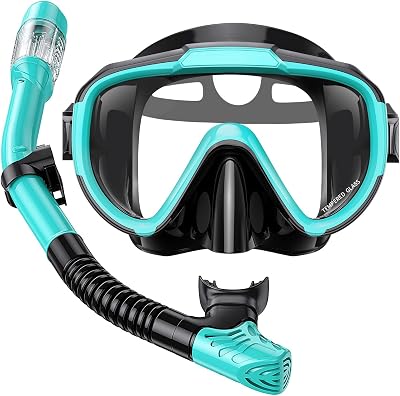Lealinga Panoramic Snorkel Mask and Dry Top Snorkel Set with Travel Bag