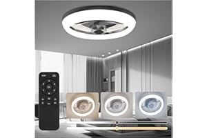 CannonX 14 Inch Ceiling Fan with Lights and Remote, Fandelier Ceiling Fans with Light and Remote, Ventilateur Plafond Avec Lu