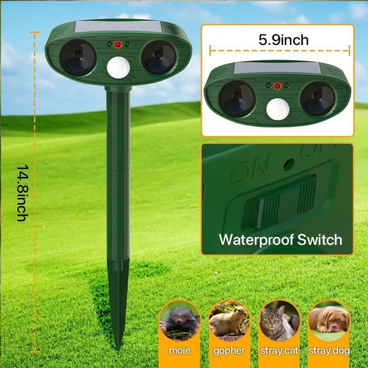 View 5