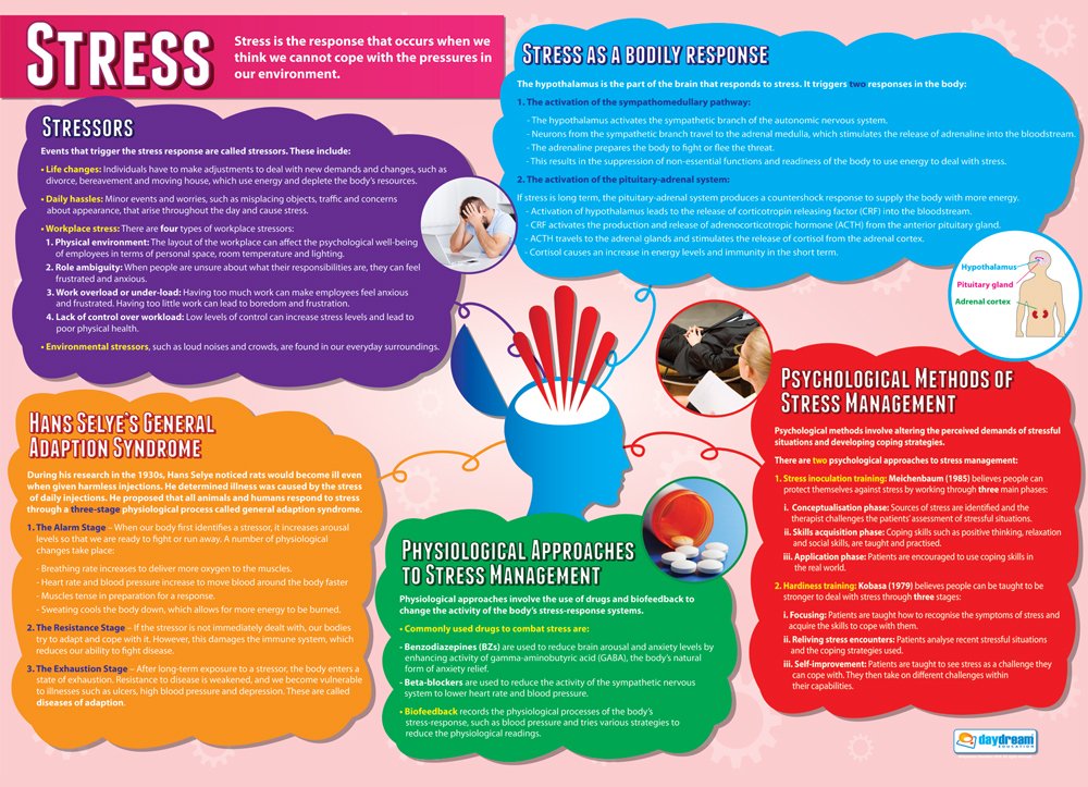 Daydream Education Stress | Psychology Posters | Laminated Gloss Paper measuring 850mm x 594mm (A1) | Psychology Charts for the Classroom | Education Charts
