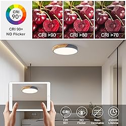 Vikaey Modern LED Ceiling Light, Minimalist Wood
