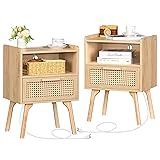 Lerliuo Rattan Nightstands Set of 2 with Charging